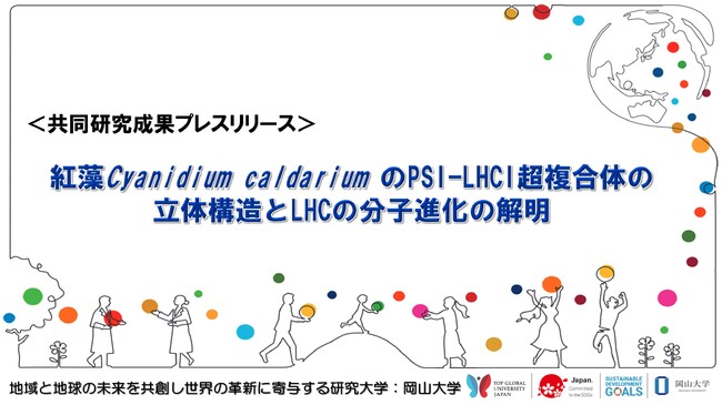 紅藻Cyanidium caldariumのPSI-LHCI超複合体の立体構造とLHCの分子進化