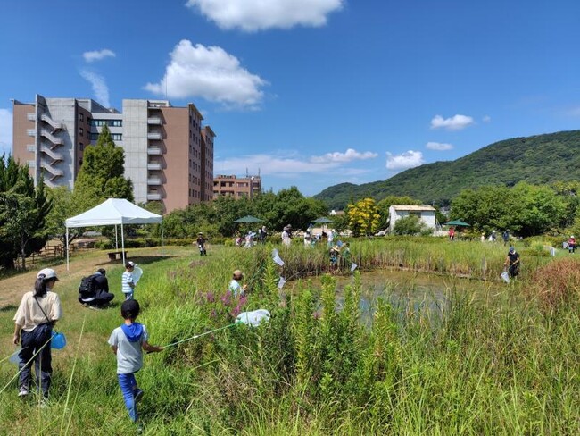 学内の誕生池でのトンボ採集