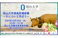 【岡山大学】岡山大学総合技術部「津高牧場体験~牛について学ぼう~」〔10/20,日 岡山大学農学部附属山陽圏フィールド科学センター津高牧場〕