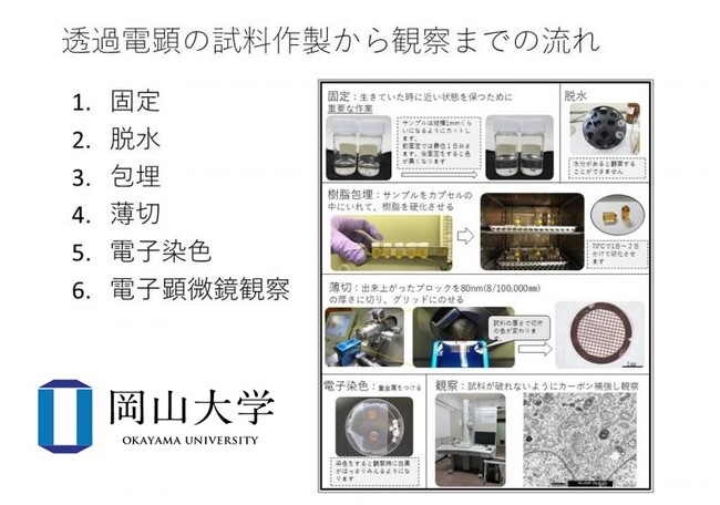 透過型電子顕微鏡TEM試料作製方法のスライド