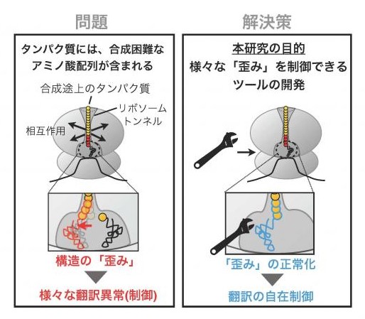 本研究課題で取り組む問題