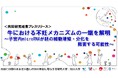牛における不妊メカニズムの一端を解明〜子宮内microRNAが胚の細胞増殖・分化を阻害する可能性〜〔名古屋大学、岡山大学〕