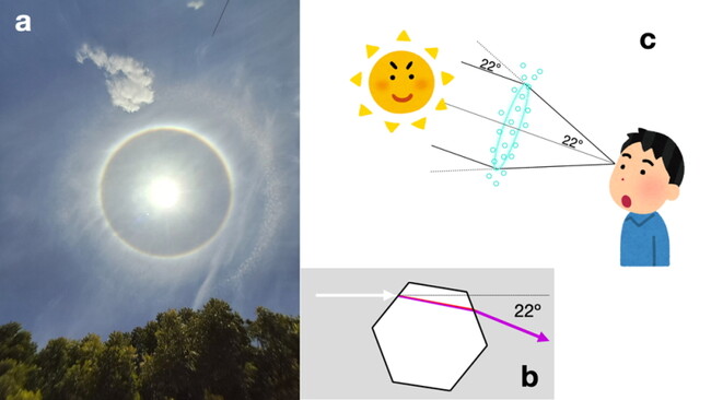 (a) 22º日暈の例。 (b) 六角柱状の氷が光を屈折させ、22º曲がる。 (c) 氷晶に曲げられた光が、太陽から22ºはなれた方向から観察者にとどく。 Photo by Digi Venkat CC BY SA 4.0