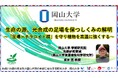 【岡山大学】生命の源、光合成の足場を保つしくみの解明~「足場=チラコイド膜」を守り植物を高温に強くする~