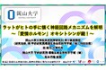 【岡山大学】ラットがヒトの手に懐く神経回路メカニズムを解明~「愛情ホルモン」オキシトシンが鍵!~