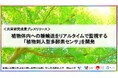 植物体内への糖輸送をリアルタイムで監視する「植物刺入型多酵素センサ」を開発〔早稲田大学, 北九州市立大学, 岡山大学〕