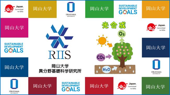 岡山大学異分野基礎科学研究所（RIIS）