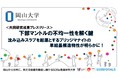 下部マントルの不均一性を解く鍵：沈み込みスラブを起源とするブリッジマナイトの単結晶構造物性が明らかに！