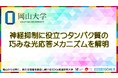 【岡山大学】神経抑制に役立つタンパク質の巧みな光応答メカニズムを解明