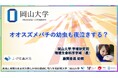 オオスズメバチの幼虫も夜泣きする？〔岡山大学, 神戸大学〕