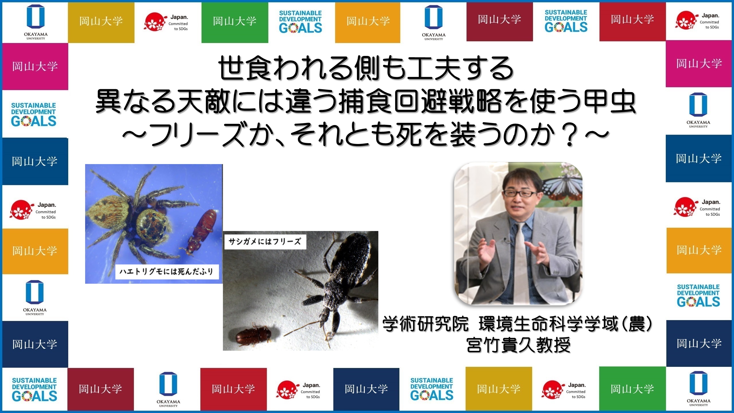 岡山大学 食われる側も工夫する 異なる天敵には違う捕食回避戦略を使う甲虫 フリーズか それとも死を装うのか 国立大学法人岡山大学のプレスリリース