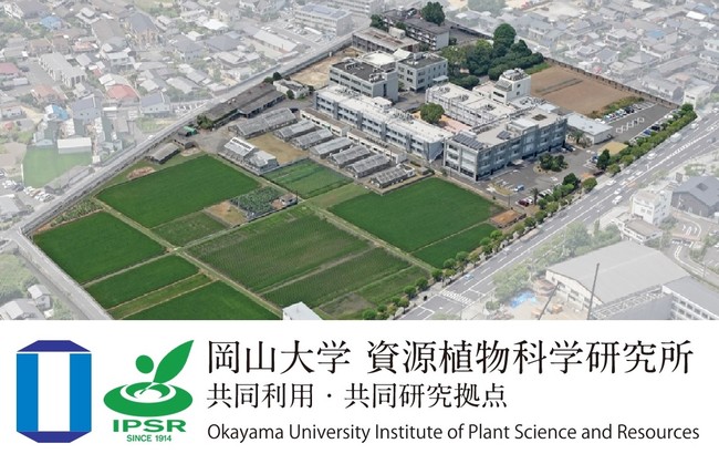 岡山大学資源植物科学研究所（岡山県倉敷市）