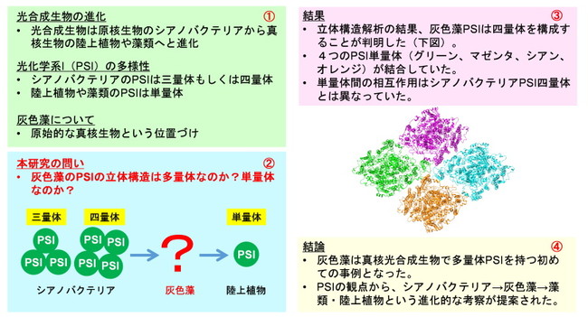 本研究のポイントを一つのスライドにまとめました。右上に番号が１.～４.と振ってありますので、その流れでご覧ください