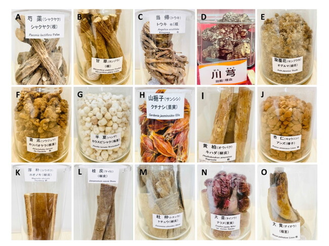 図1. 日本の薬局で売られている漢方薬に含まれる素材の一例(岡山市北区のイオン薬局のご厚意による) 図1. 日本の薬局で売られている漢方薬に含まれる素材の一例(岡山市北区のイオン薬局のご厚意による)