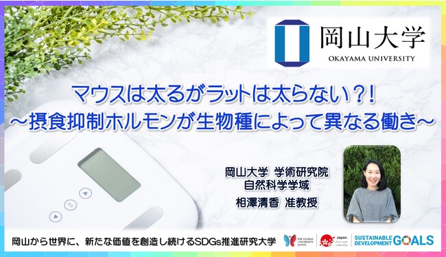 岡山大学 マウスは太るがラットは太らない 摂食抑制ホルモンが生物種によって異なる働き 国立大学法人岡山大学のプレスリリース