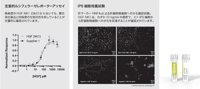 recombinant human HGF (NK1) protein (Qk013)データ
