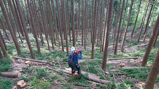 素材生産者は森林の守り人