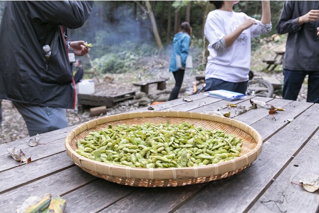 豆本来の味がする。極上の津久井在来大豆の枝豆