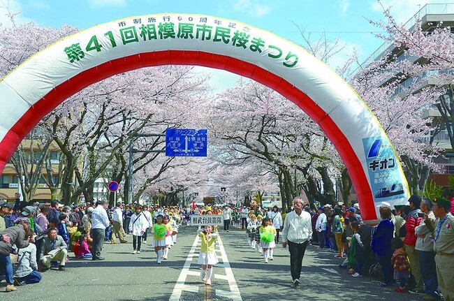 ６年ぶりの開催！「第５１回相模原市民桜まつり」にぜひお越しください