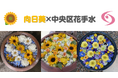 【相模原市】『向日葵×中央区花手水』を実施します！
