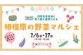 オーガニックビレッジ宣言をカタチに!環境負荷低減に取り組む農家による「相模原の野菜マルシェ」を初開催します