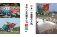 【相模原市】その大きさ日本一を誇る「相模の大凧」　令和８年の題字が公募により 『穂風』 に決定しました