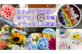 【相模原市】『はやぶさWEEK×中央区花手水』『あじさい×中央区花手水』を実施します！