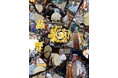【相模原市南区】「第３５回東林間サマーわぁ！ニバル」を８月１日（土）・２日（日）に開催します！