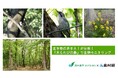 【相模原市】生き物の声をAIが分析！「木もれびの森」でAIを使用した生物モニタリングの実証実験を実施します