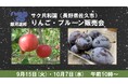 【相模原市】「銀河連邦サク共和国　りんご・プルーン販売会」を９月１５日（火）と１０月７日（水）に開催！
