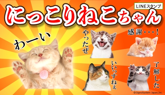表情豊か 可愛い 猫がいっぱい にっこりねこちゃん Lineスタンプ配信開始 ジグノシステムジャパン株式会社のプレスリリース
