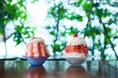 【期間限定】夏の涼を味わう「かき氷フェア」開催!　王道人気の「苺とマスカルポーネ」や真っ黒濃厚な「黒ごま」など、個性豊かな12種類のかき氷が新登場。