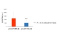 免疫細胞pDC(プラズマサイトイド樹状細胞)の活性を可視化する尿中因子を世界で初めて発見