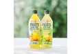 「午後の紅茶 FRUITS & ICE TEA オレンジとグレープフルーツ/白ぶどうとレモン」発売初日で1,000万本突破!発売から11日で年間販売目標の9割を達成!