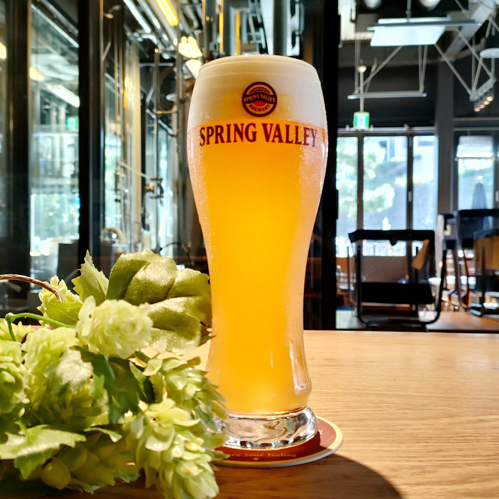 「Japan Pale Ale」をスプリングバレーブルワリー東京で数量限定発売｜キリンホールディングス株式会社のプレスリリース