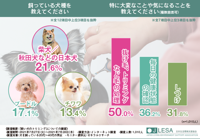 ペットに関する資格なら 日本生活環境支援協会 9割近くの方がペットのお手入れを自分でしている 正しい知識 方法でペットのトリミングできていますか 日本生活環境支援協会のプレスリリース