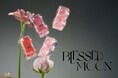 【情報解禁 第一弾!】大人気 韓国コスメ〈BLESSED MOON(ブレスドムーン)〉新ラインとなるティント"Veil Glow Lip Tint/Veil Blur Lip Tint"詳細解禁!