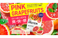 【ファン待望の新フレーバー！残暑に弾ける爽快感】THE PROTEIN（通称:ザプロ）から果実本来の酸味と甘さを追求したピンクグレープフルーツ風味が新登場！