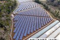 茨城PPA1号太陽光分譲ファンド募集開始