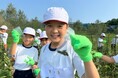 「ごまのみらい小豆島プロジェクト」土庄町の小学生に向け ごまの収穫からごま油になるまでを学ぶフィールドワークを実施