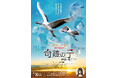 HTBが製作し全国で上映されたドキュメンタリー映画「奇跡の子 夢野に舞う」を2026年1月1日(木)に地上波初放送！