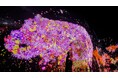チームラボ、シンガポールの常設展「teamLab Future World」で、新たに3作品を公開。既存作品も複数リニューアル。