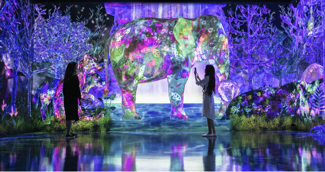 チームラボ《捕まえて集める絶滅の森 - A Whole Year per Year》Courtesy teamLab Forest, Fukuoka (C) チームラボ