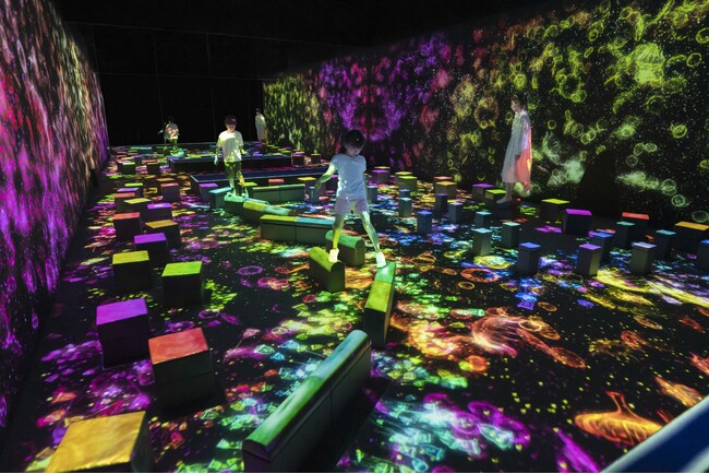 チームラボ 《インビジブルな世界のバランス飛石》Courtesy teamLab Borderless, Odaiba (C) チームラボ