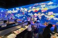 チームラボ、山口・下関にて「チームラボ 学ぶ!未来の遊園地」を開催。会期は、2025年7月25日(金)から8月17日(日)まで。