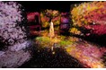 チームラボが参加するインド・ムンバイのニタ・ムケシュ・アンバニ文化センターのグループ展が、7月3日(金)にオープン。展示作品を公開。