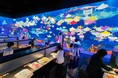 チームラボ、宮城・女川町まちなか交流館で『チームラボ 世界とつながったお絵かき水族館』を開催。会期は8月29日(土)から9月23日(水・祝)まで