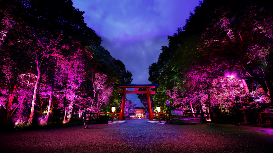 チームラボ、下鴨神社（京都）で「下鴨神社 糺の森の光の祭」を