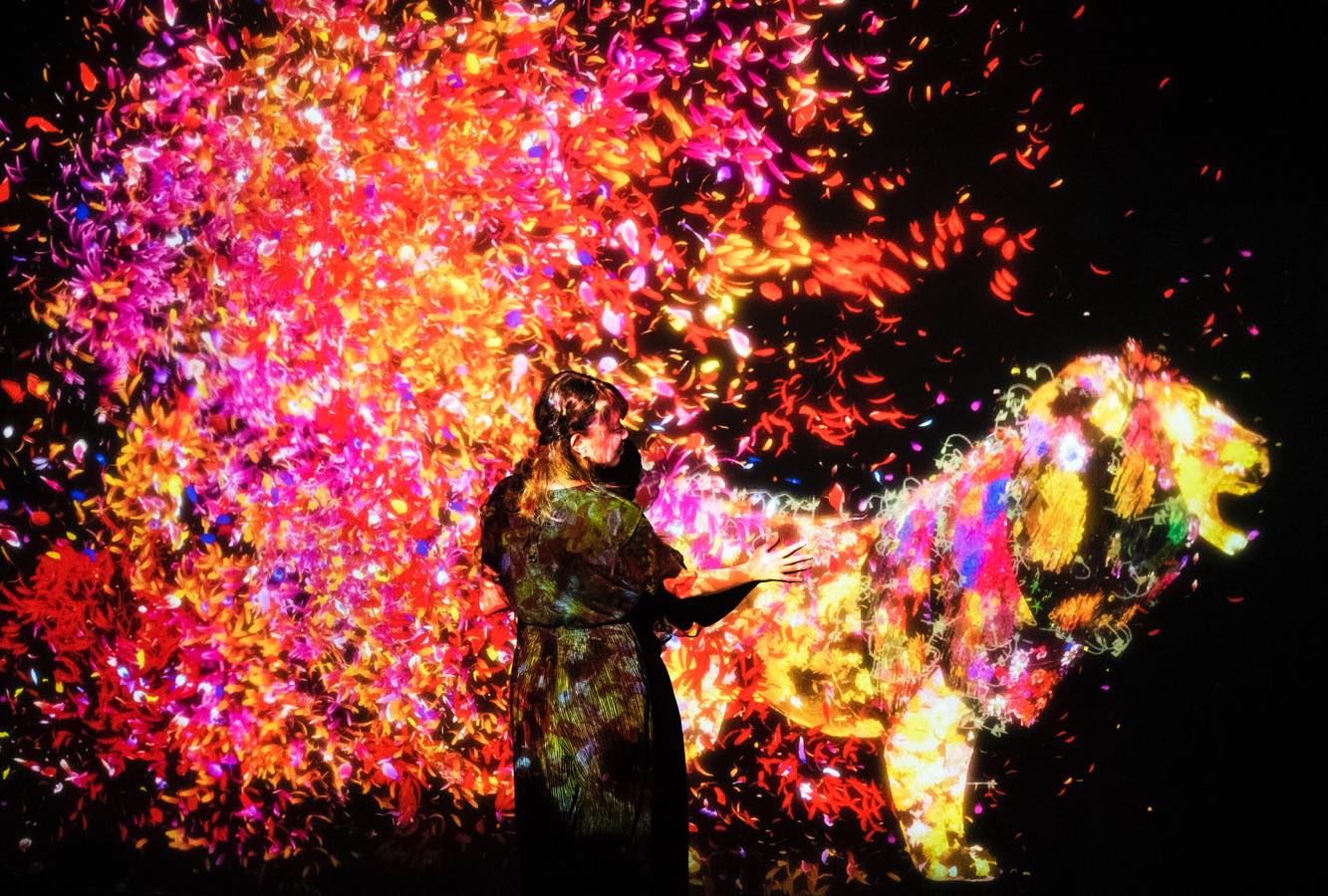 チームラボのアート作品と遊園地を一度に体験できるABS秋田放送開局65周年 「チームラボ 踊る！アート展と、学ぶ！未来の遊園地」 を秋田県立近代美術館にて東北初開催。2018/6/30～ 9/2