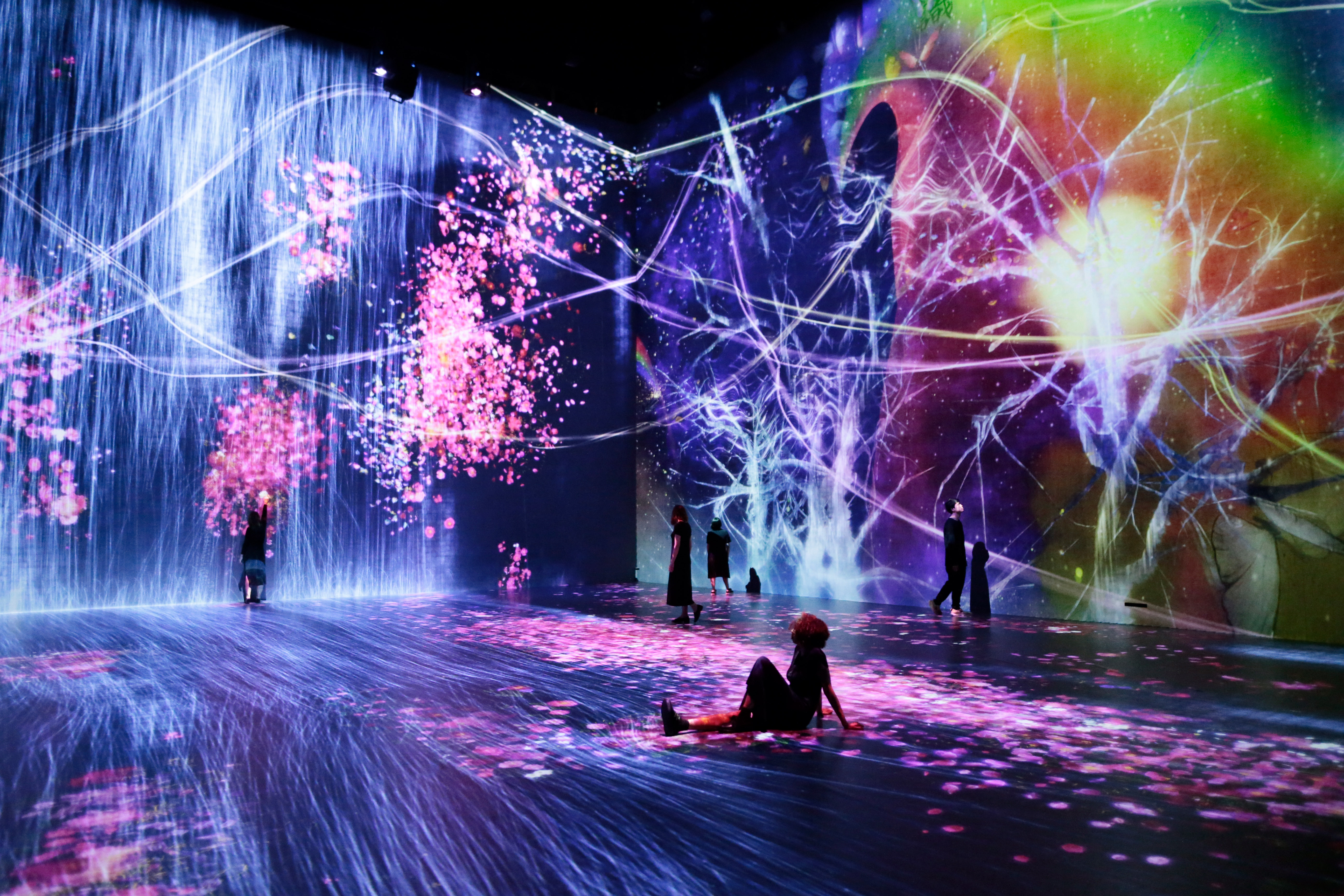 チームラボ、パリのラ・ヴィレットで大規模な展覧会「teamLab : Au-dela des limites」ジャポニスム2018の公式企画として、2018年9月9日まで開催中